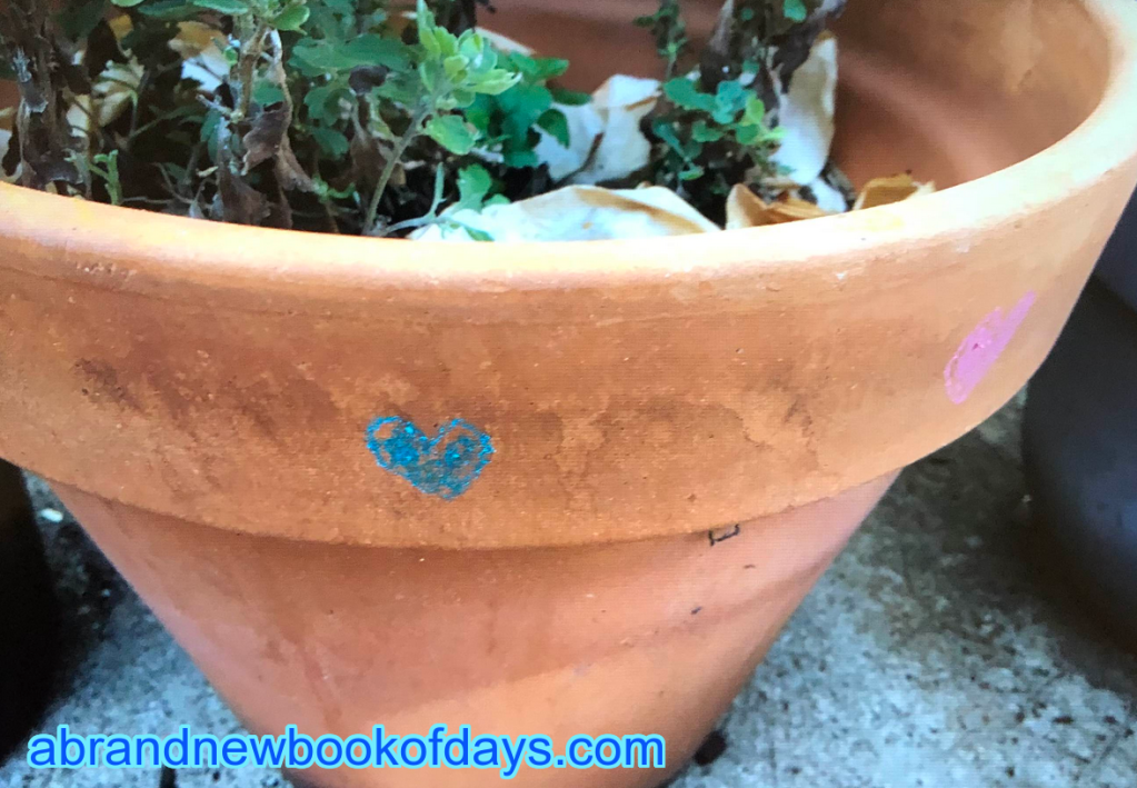 Decorating Plant Pots With&nbsp;Crayon