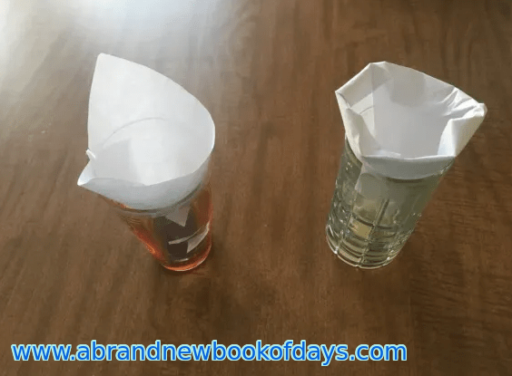 Fruit Fly Traps