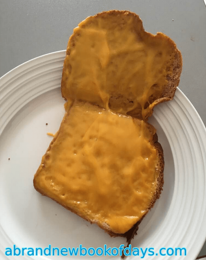 Microwaved Vegan Cheese&nbsp;Sandwich