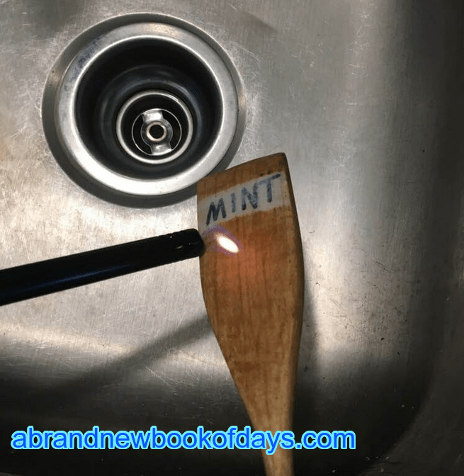 Waxed Wooden Plant&nbsp;Markers